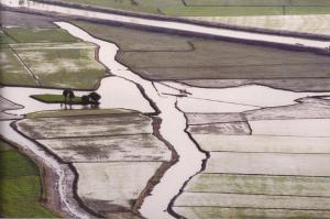 Wet Landscape, Chau Doc, Vietnam © Hussain Aga Khan