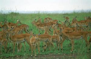Tanzania, 2006. Photo  © Hussain Aga Khan