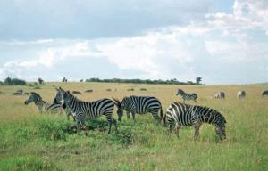 Tanzania, 2006. Photo © Hussain Aga Khan.