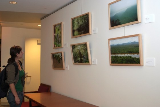 Wall display Display on a Wall