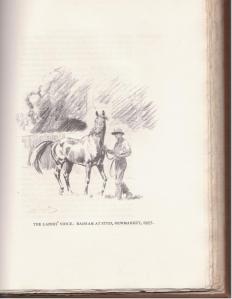 A pencil sketch of a man holding a horse, set against a light background with trees in the distance.