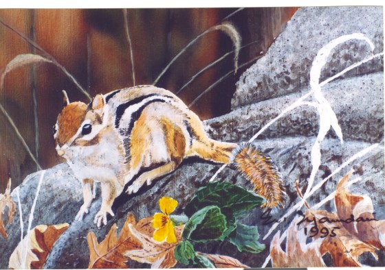 Nazmu Mamdani Chippy