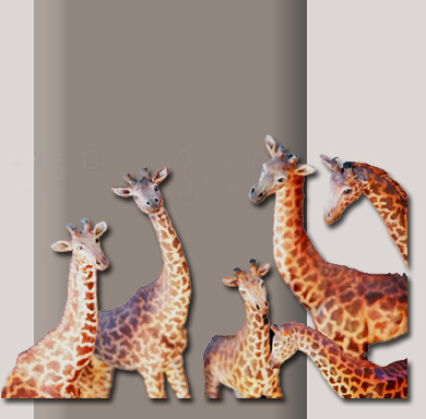 giraffe