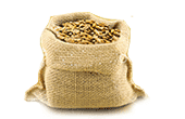 Burlap
