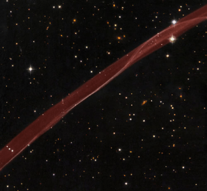 Supernova N1006 as observed by Hubble