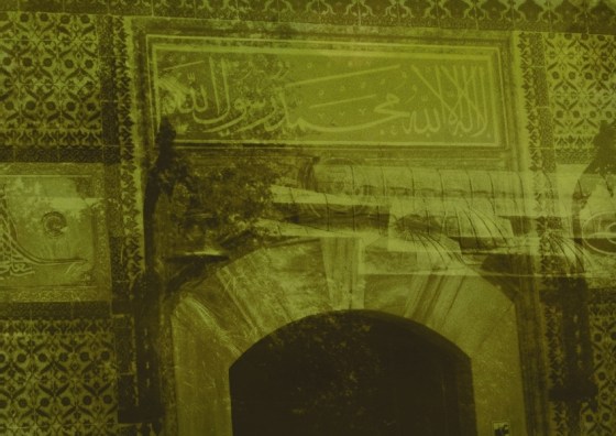 "The Niche" by Marlene Luce Tremblay