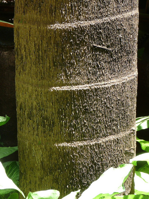 Aga Khan Hospital, Nairobi