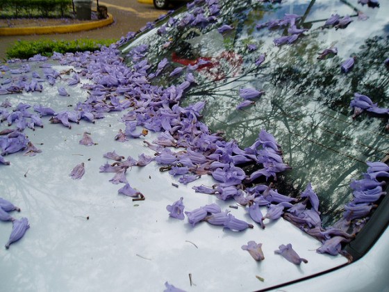 Aga Khan Hospital, Nairobi