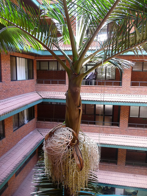 Aga Khan Hospital, Nairobi