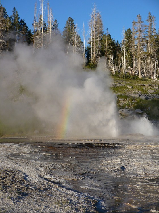 Grand Geyser Yellowstone