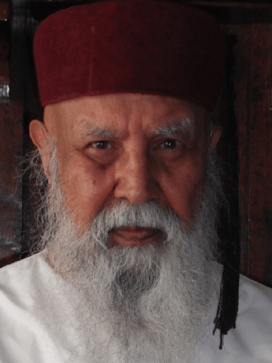 The Ismailis: From the Earliest Times to the Fall of the Fatimid Empire ...