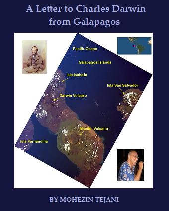 A nature piece by Tejani which appeared in 2011. Please see links on this page for Tejani's great essays.