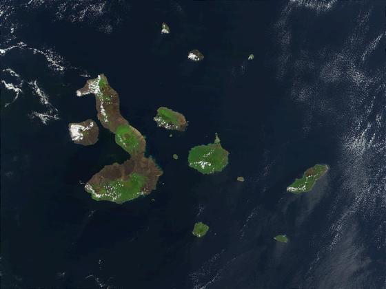 Of all the places in the world, there’s no place like the Galapagos Islands. The 19 volcanic islands are relatively new in geologic time, ranging from one to four million years old, with new islands still sprouting. They sit along the equator, between 700 to 1,000 kilometers (435 to 621 miles) from the nearest land masses. The isolation has made the islands a natural laboratory for evolution that not only famously inspired Charles Darwin, but continues to fascinate scientists today. Excerpt credit: Mike Carlowicz and Robert Simmon
