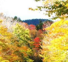 New Hampshire in autumn. Photo: US Forest Service