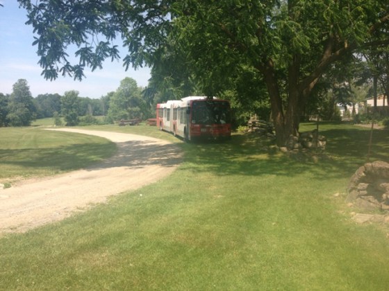 OC Transpo articulated bus used to shuttle jamati members to and from the picnic.