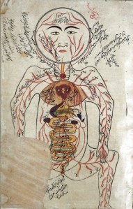 Arteries and Viscera -  depiction in Avicenna's Canon of Medicine). Please click for historical images. Credit" Wellc ome Images. Copyright.