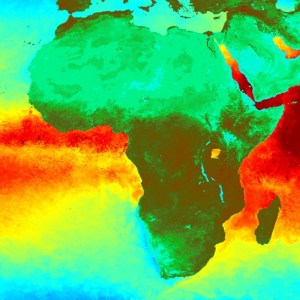 M._Tejani_- Six Ages of an African Life 2012