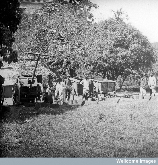 Bombay Municipal carts bringing in the rats. Photo Credit: Wellcome Library, London. Wellcome Images. Copyright.