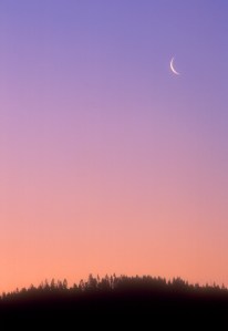A new moon at Mackerricher State Park, California, USA. Photo: Istockphoto. Copyright.