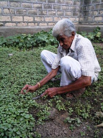 Gulamhusen - born into a farming community - seen in his plot