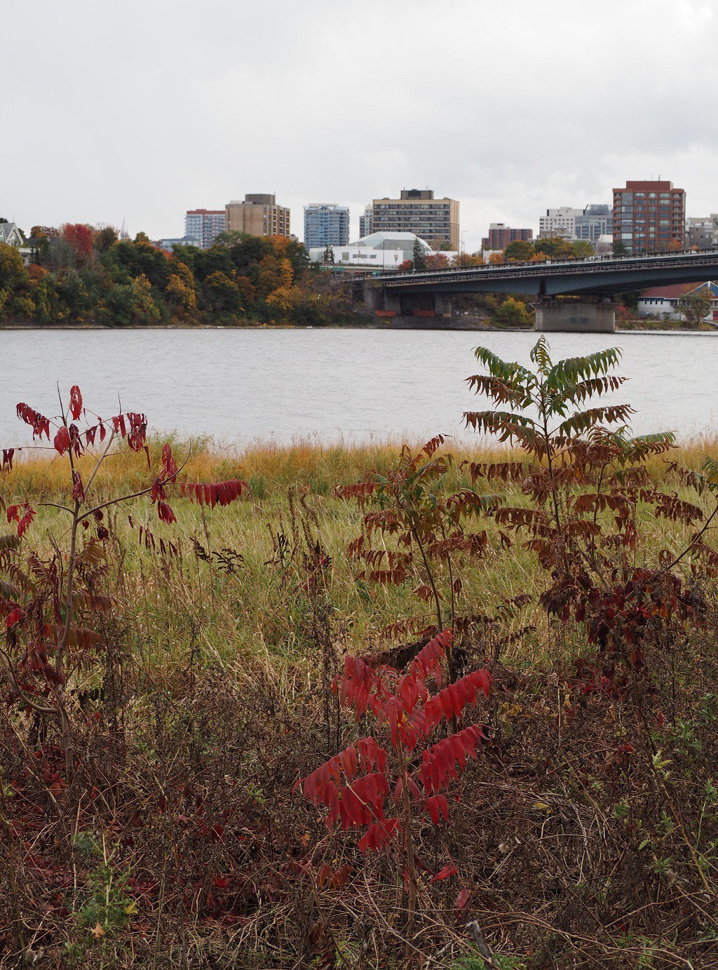 The architecture of the dome of Delegation of the Ismaili Imamat Building seen above from Jacques Cartier Park is centred around the beautiful mysteries of rock crystal. Please see the Ismaili Imam's quote and click on image for photos of Ottawa-Gatineau foliage.