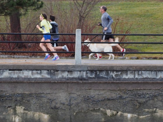  Please click on photo