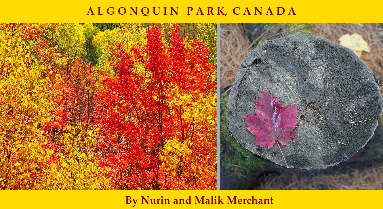 Algonquin Park