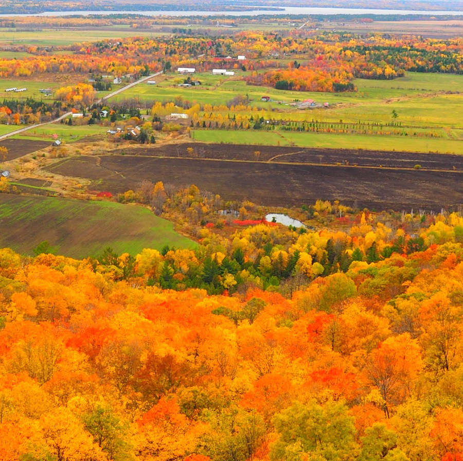 Gatineau Park, October 2019, Fall Rhaspody