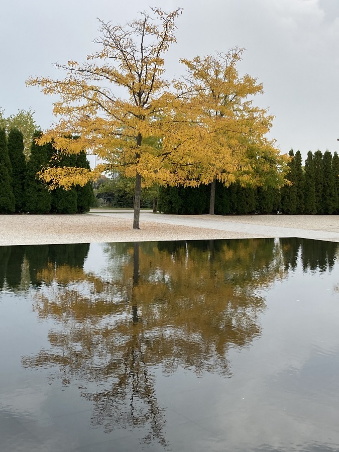 Aga Khan Park foliage