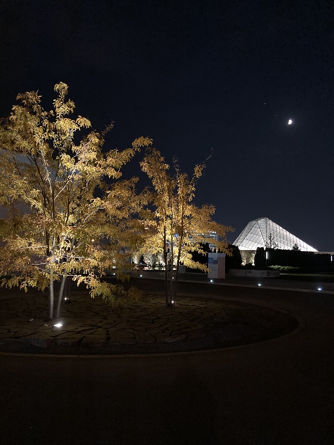 Aga Khan Park Fall Colours waxing moon Wynford Drive Toronto