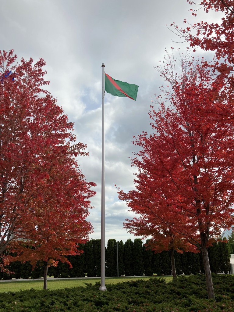 The Flag of the Ismaili Imamat