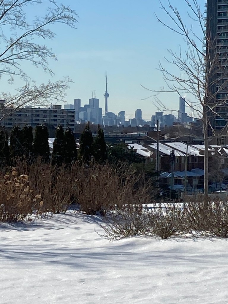 cn tower aga khan park simerg downtown toronto