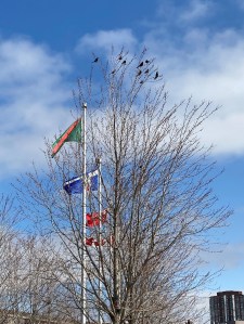 Photo of the Day Simerg Malik Merchant