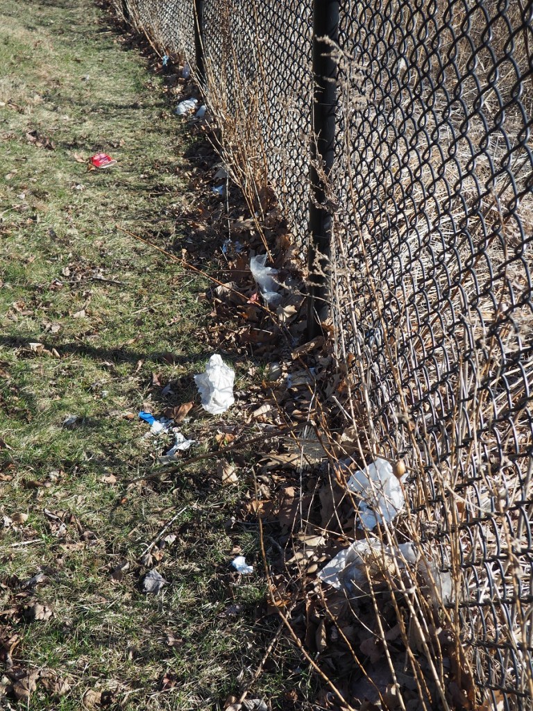 Aga Khan Park plastics