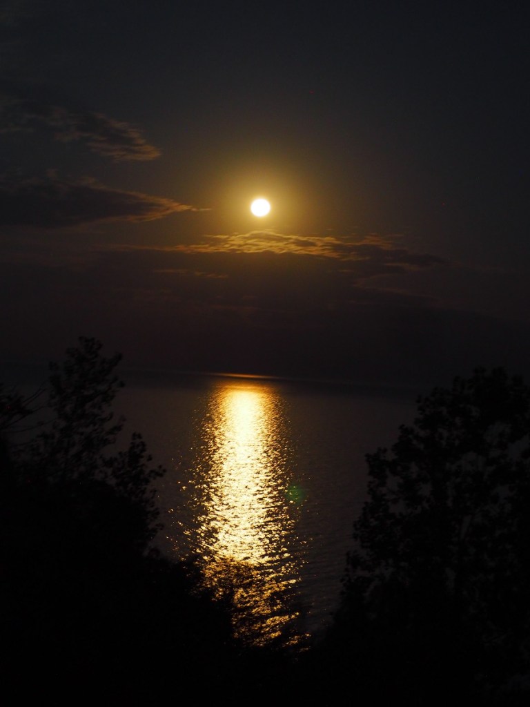 A serene night view of a full moon illuminating the surface of a calm body of water, with faint clouds and silhouettes of trees in the foreground.