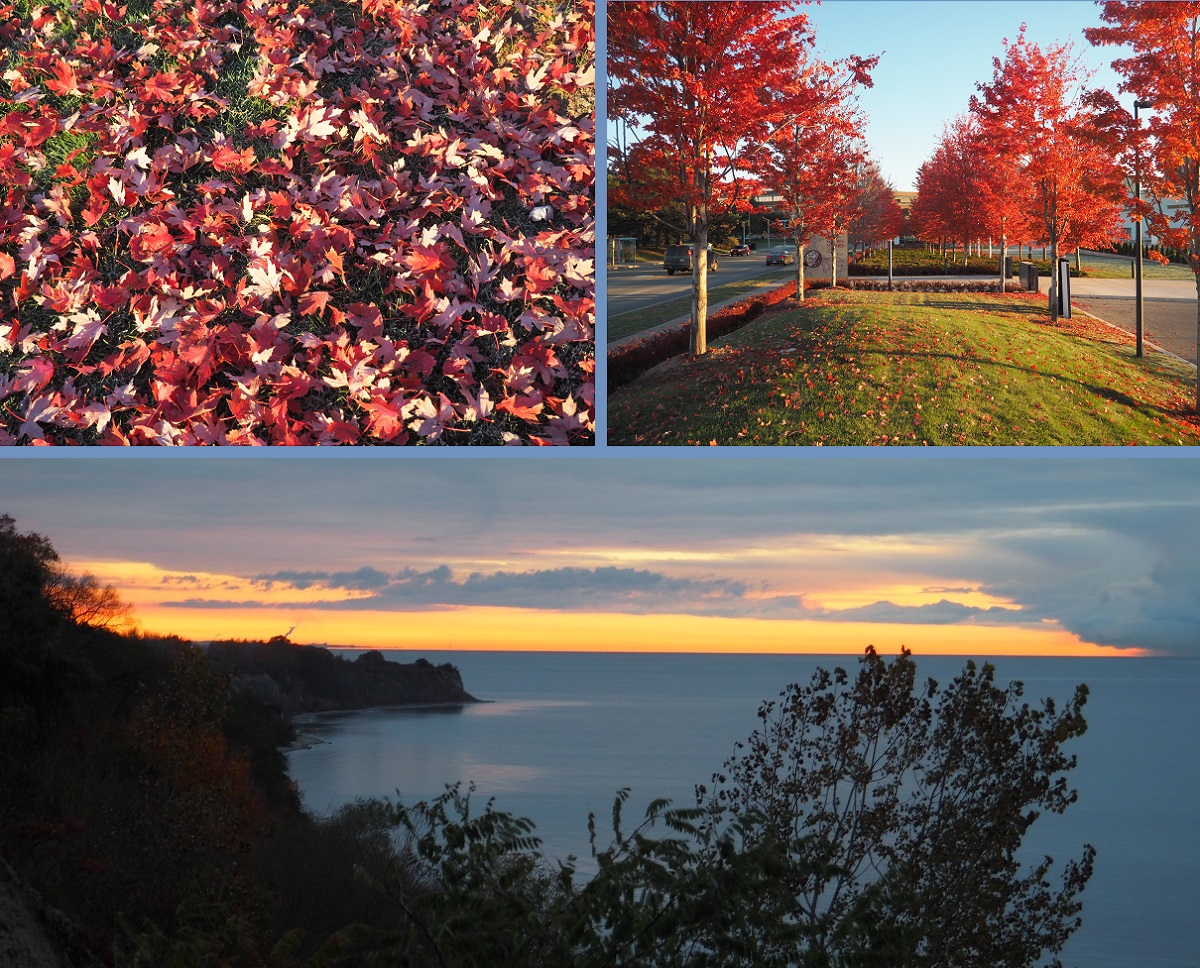 Blazing Aga Khan Park