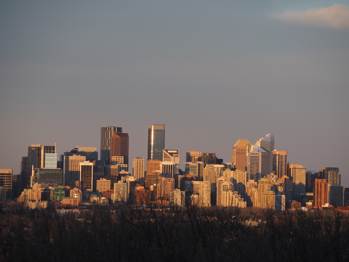 Scenes from Calgary, Malik Merchant, simerg