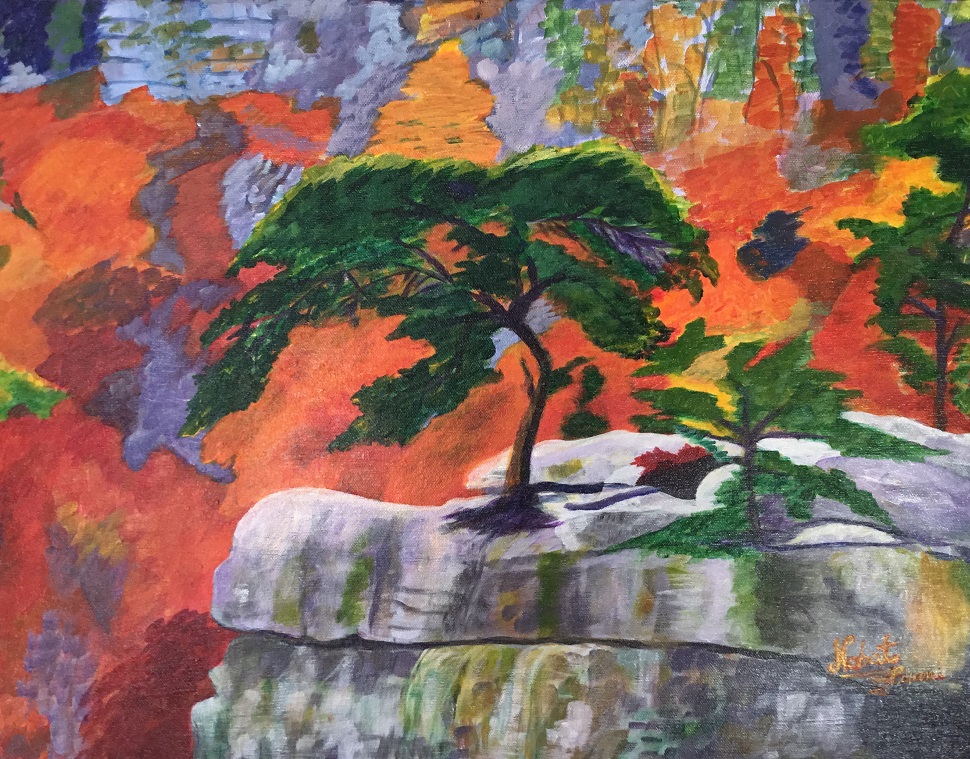 Ismaili artist Nabat Pirani Simerg