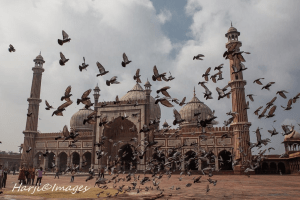 A large mosque with domes and minarets, surrounded by a flock of pigeons flying in the foreground and partially cloudy skies above.