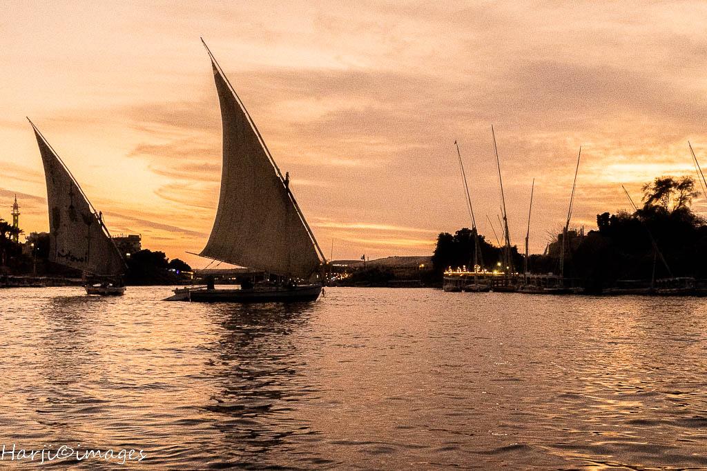 Fellucas on the Nile in Aswan. Photograph: Muslim Harji