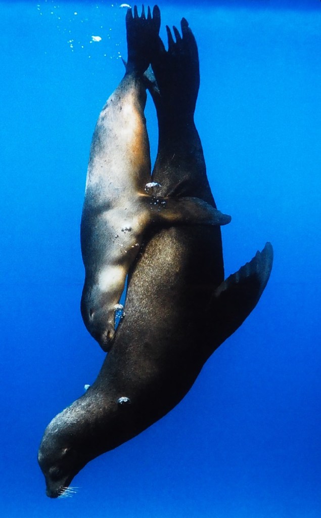 Moving Mummy Hug by Hussain Aga Khan.