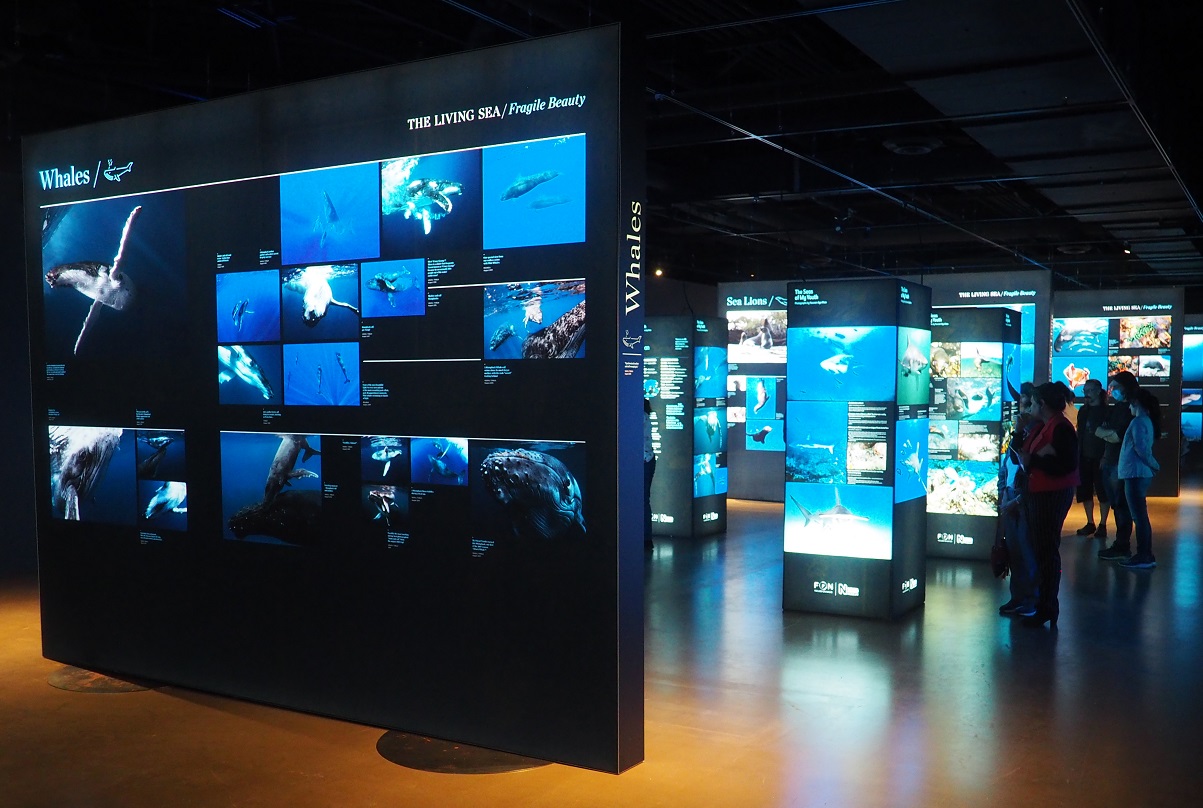 Hussain Aga Khan The Living Sea Calgary