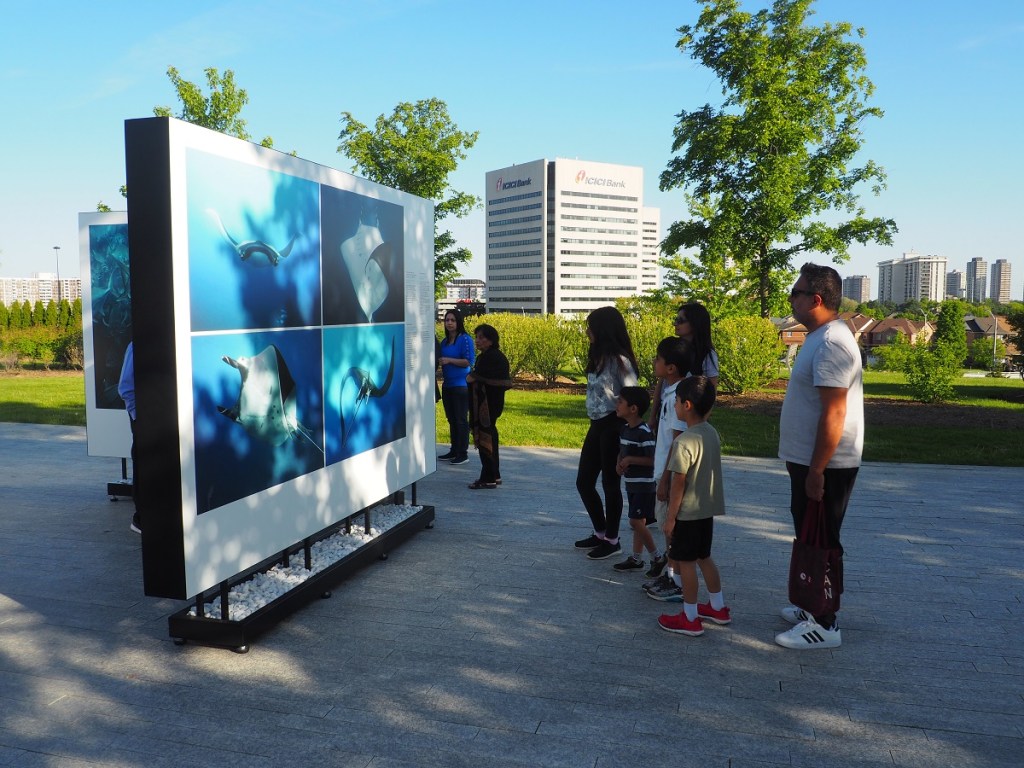 Visitors at Prince Hussain Aga Khan's exhibition The Living Sea -- Fragile Unity at the Ismaili Centre Toronto; May 26, 2023. Photograph: Malik Merchant/Simerg