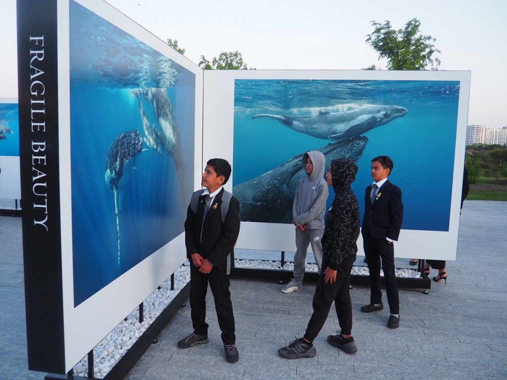 Young Ismaili volunteers and friends  at Prince Hussain Aga Khan's exhibition The Living Sea -- Fragile Unity at the Ismaili Centre Toronto; May 26, 2023. Photograph: Malik Merchant/Simerg