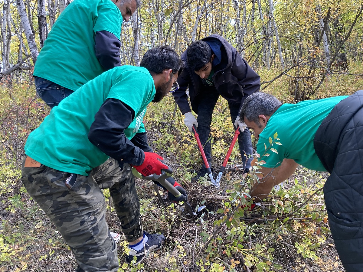 Ismaili Civic Day volunteers pull out invasive plants from a Calgary Park.