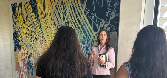 Nocturnal Journey Ismaili Center Houston